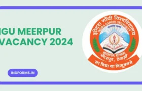 IGU Meerpur Vacancy 2024