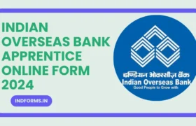 Indian Overseas Bank Apprentice Online Form 2024